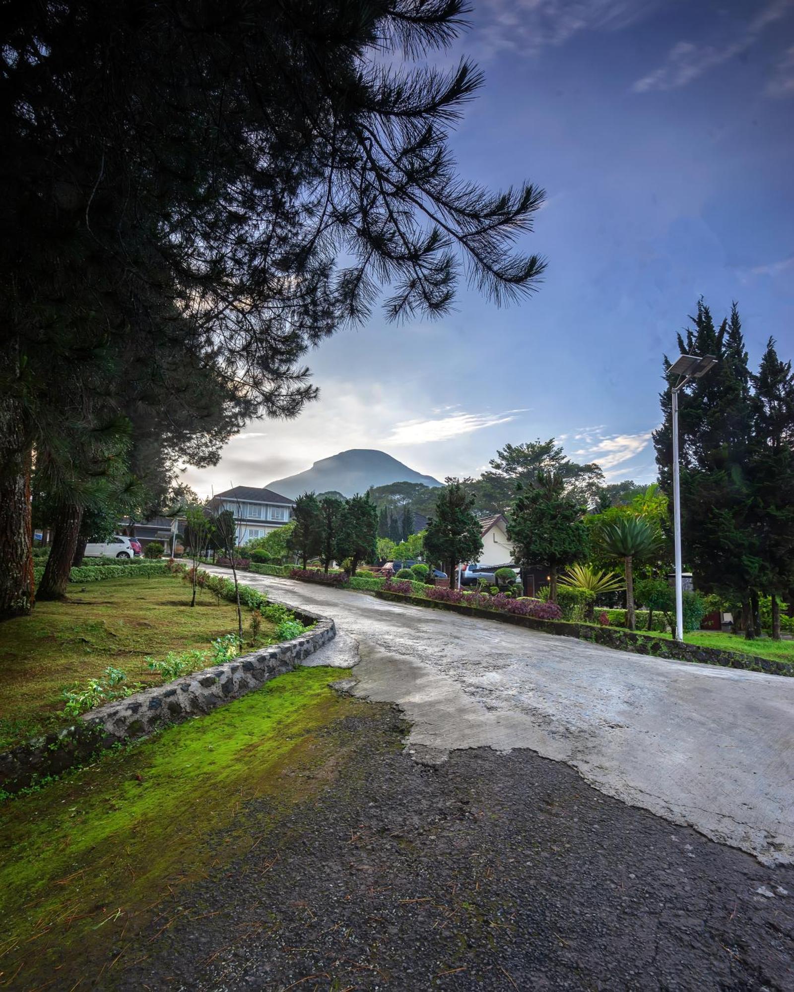 Tambi Tea Resort Kejajar Exteriér fotografie